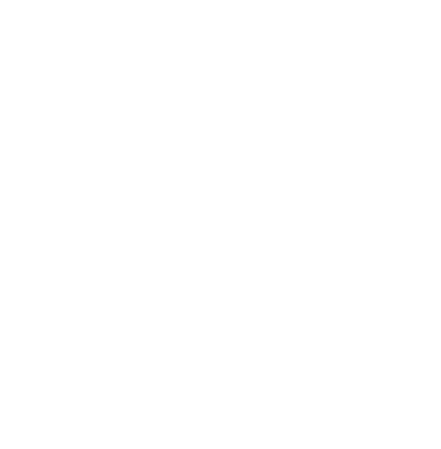 Revisions xess global